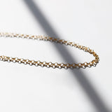 side view of gold rolo chain necklace